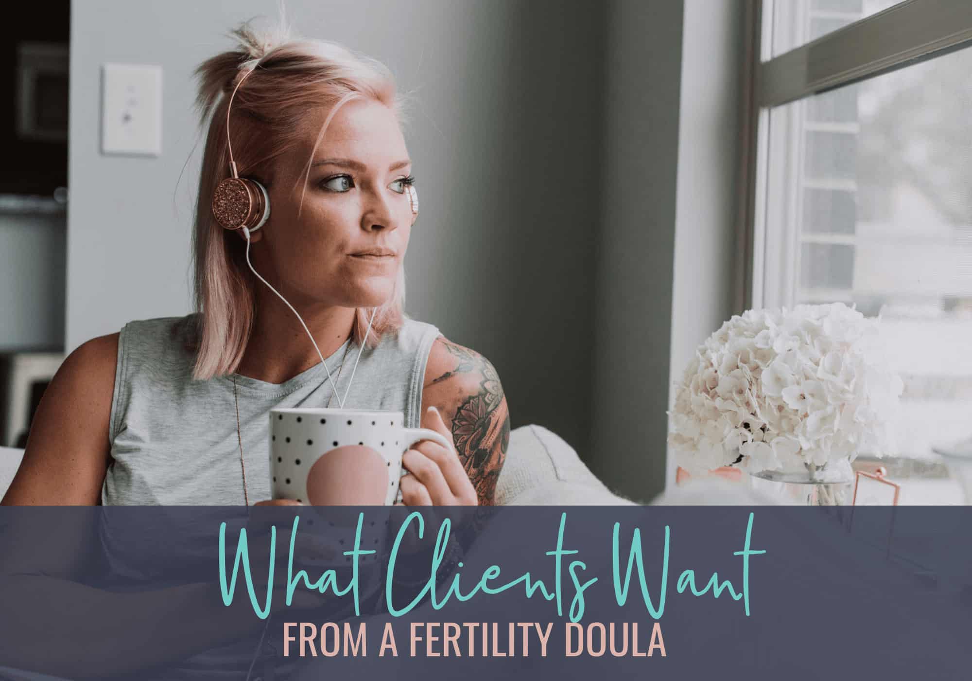 Fertility Doula - What Clients Want