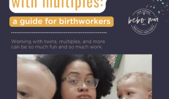 guide for birthworkers