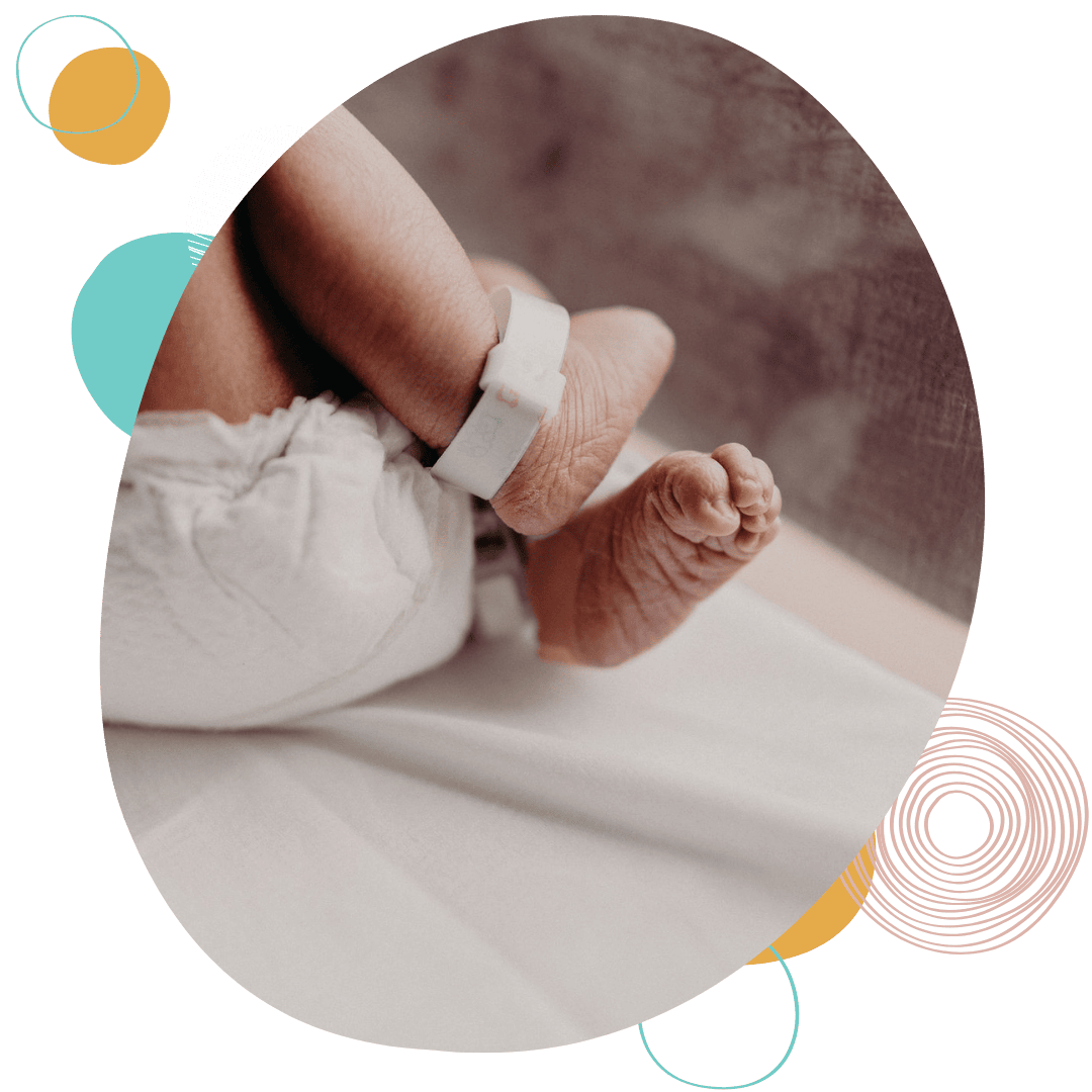 full spectrum doula bebo mia inc